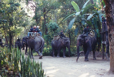Chitwan National Park