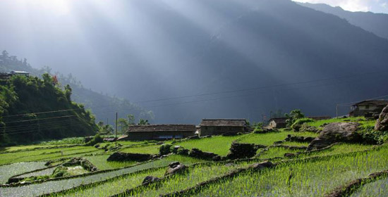 Explore Nepal: Terrace Farming